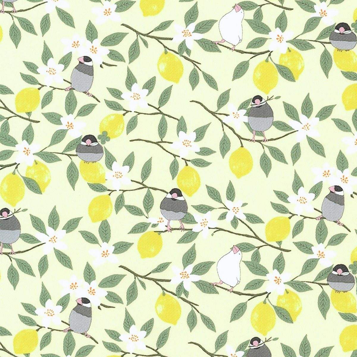 鳥柄
