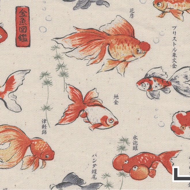 圖鑑系列 金魚圖鑑