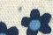 色號 01