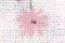 色號 04