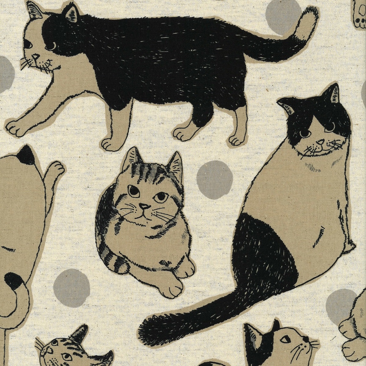 猫柄