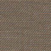 色號 13