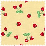 日本進口印花布