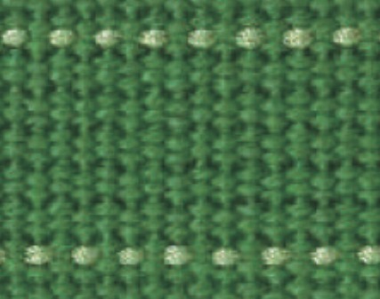 echino 刺繡織帶 綠色